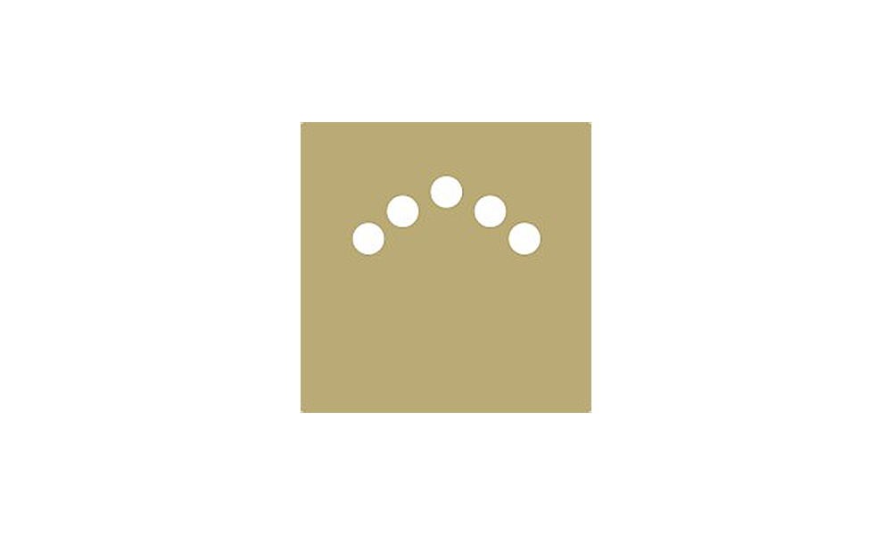 perpetual-investors Logo